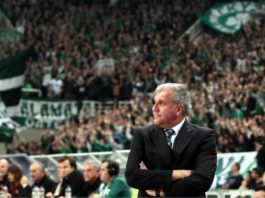 obradovic